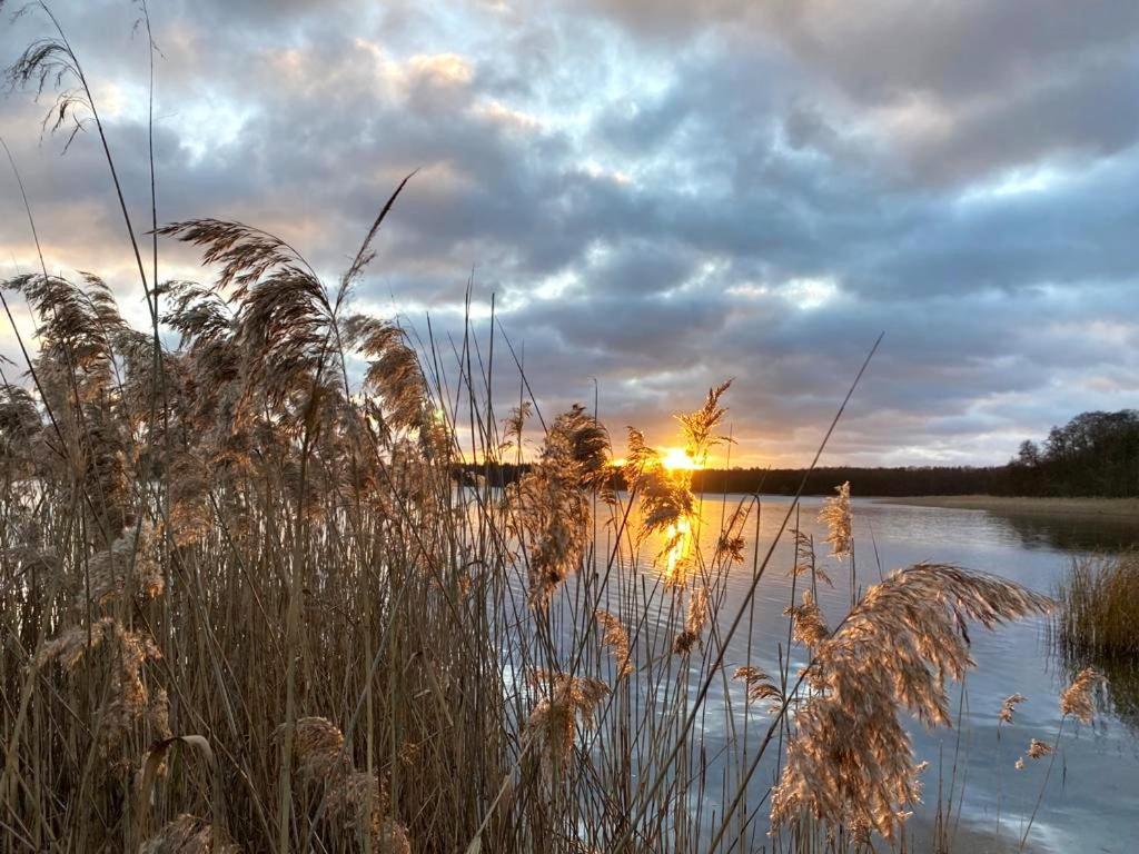 טמפלין Ferienhaus Direkt Am See Uckermark מראה חיצוני תמונה